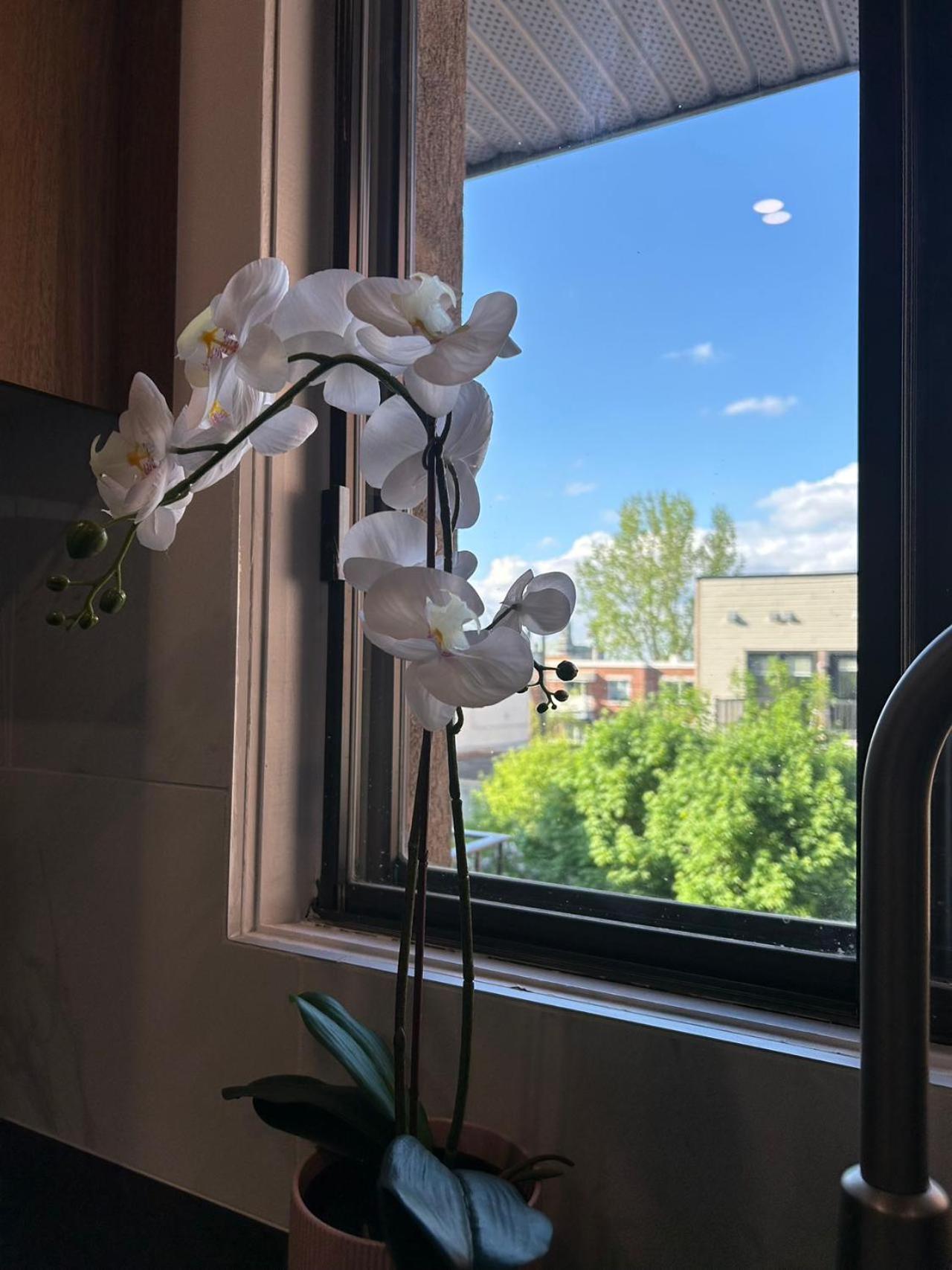 Orchid Lodgement Montréal Buitenkant foto